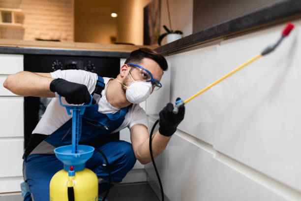 Best Pest Control Treatment  in Robert Lee, TX