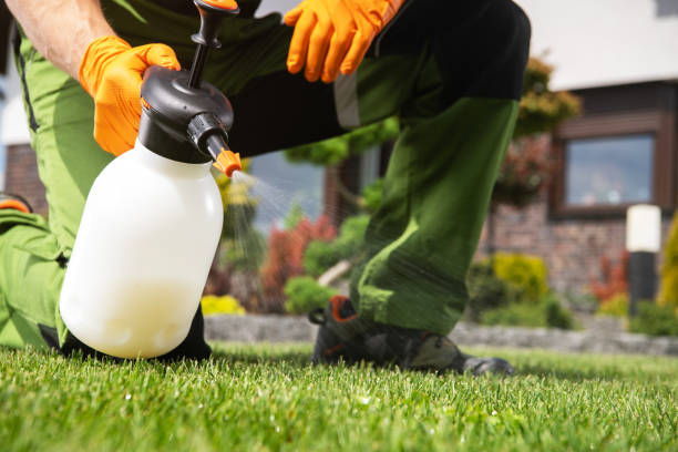 Best Emergency Pest Control  in Robert Lee, TX
