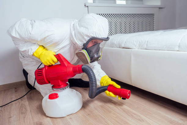 Best Wasp Removal Services  in Robert Lee, TX