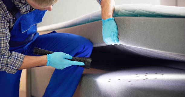 Best Pest Inspection Near Me  in Robert Lee, TX