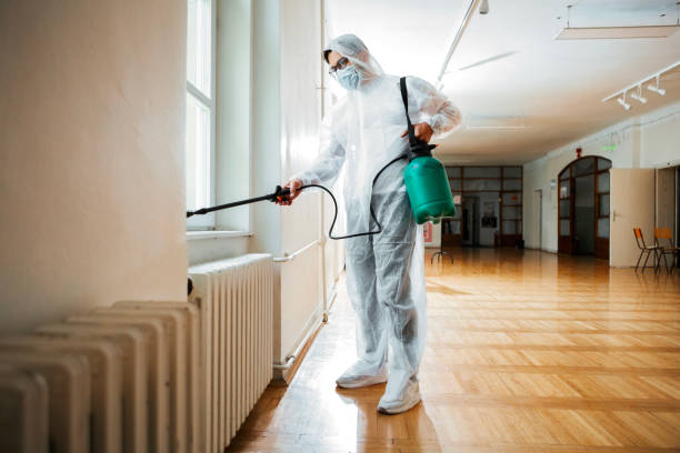 Best Ant Control Services  in Robert Lee, TX