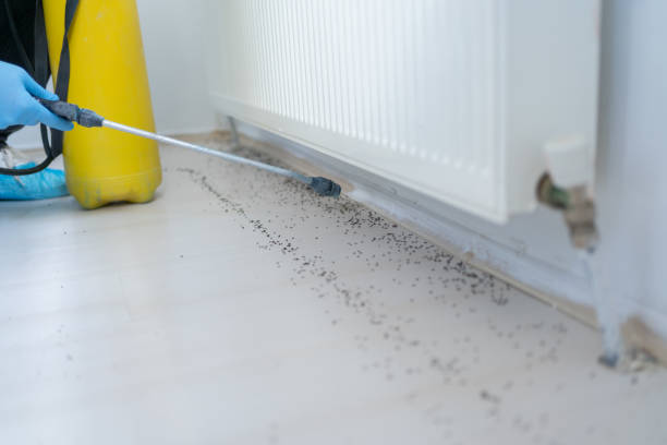 Best Wildlife Control Services  in Robert Lee, TX